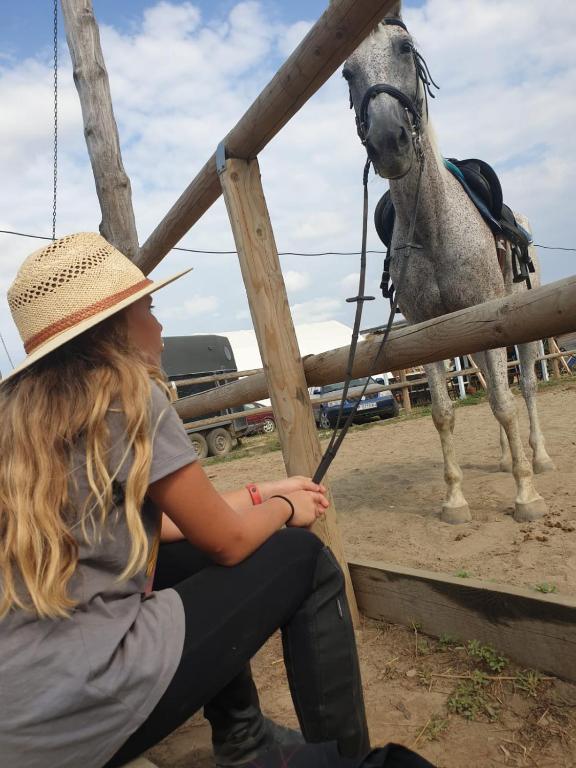 Hobby Land Ranch Horse's Barn Guesthouse - Județul Călărași