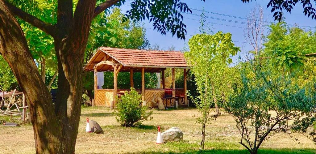 Kromidovo- Best Of Rural Bulgaria - ブルガリア