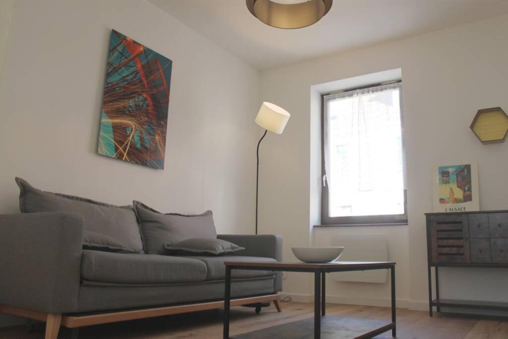 🏵 Cozy 3 Rooms Apartment Near The Tram 🏵 - ibis Styles Strasbourg Stade de la Meinau