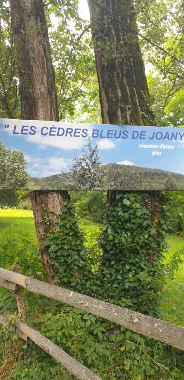 Les Cèdres Bleus De Joany - Aveyron