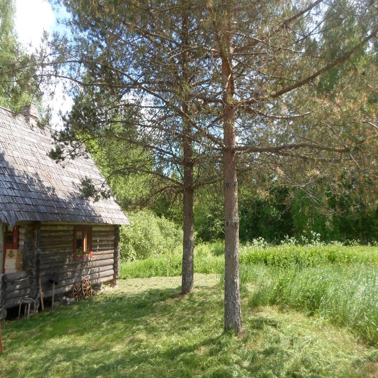 Pähnamäe metsamajake - Estonie
