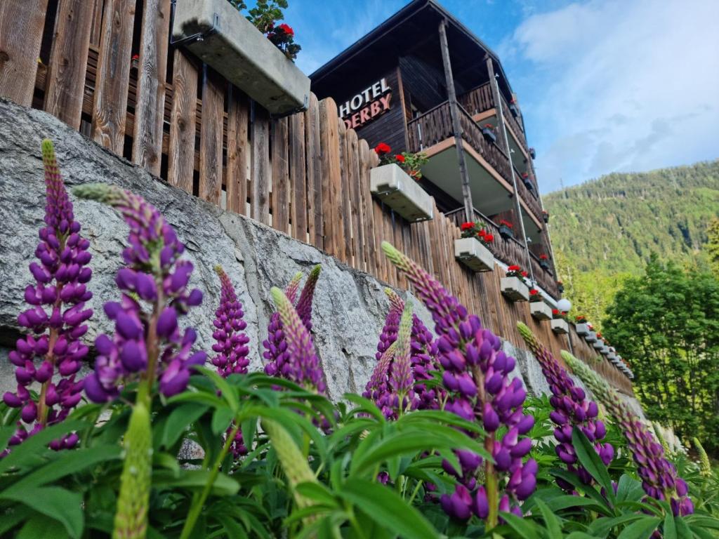 Berghotel Derby - Alpe Devero