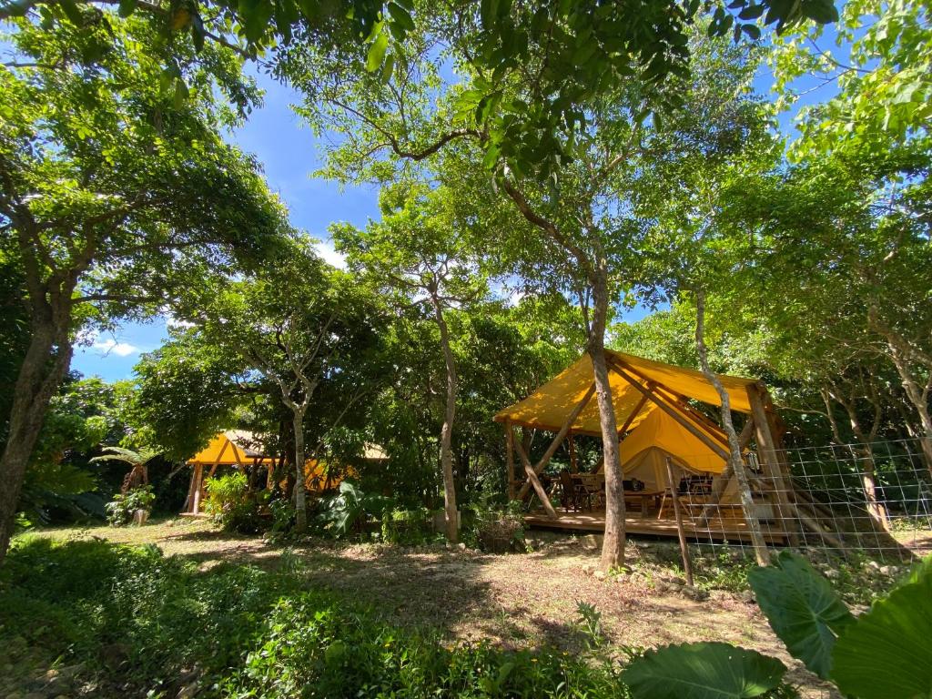 Ecostay Glamping Rainbow Forest - 石垣市