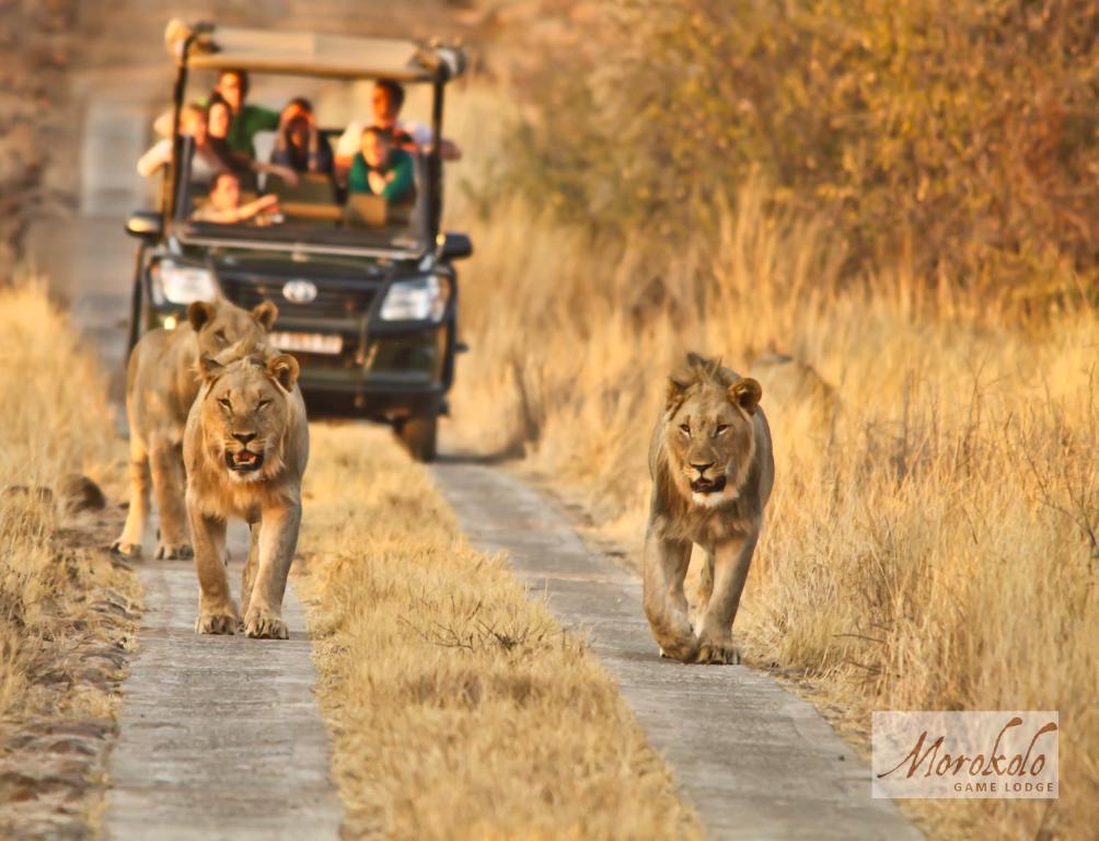 Morokolo Safari Lodge Self-catering - Südafrika