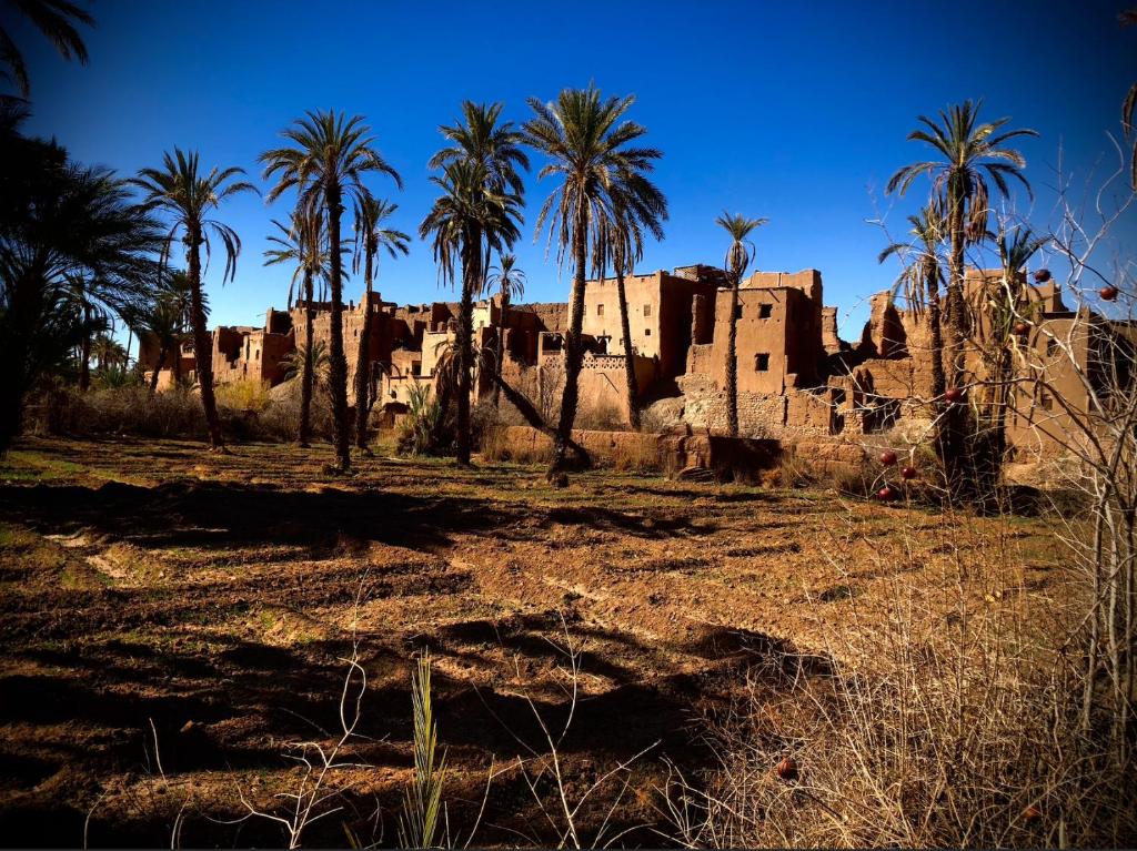 Dormez Sur Le Toît D'une Palmeraie - Morocco