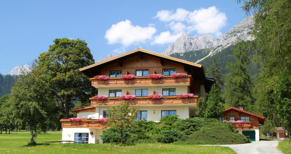 Alpenperle - Dachstein