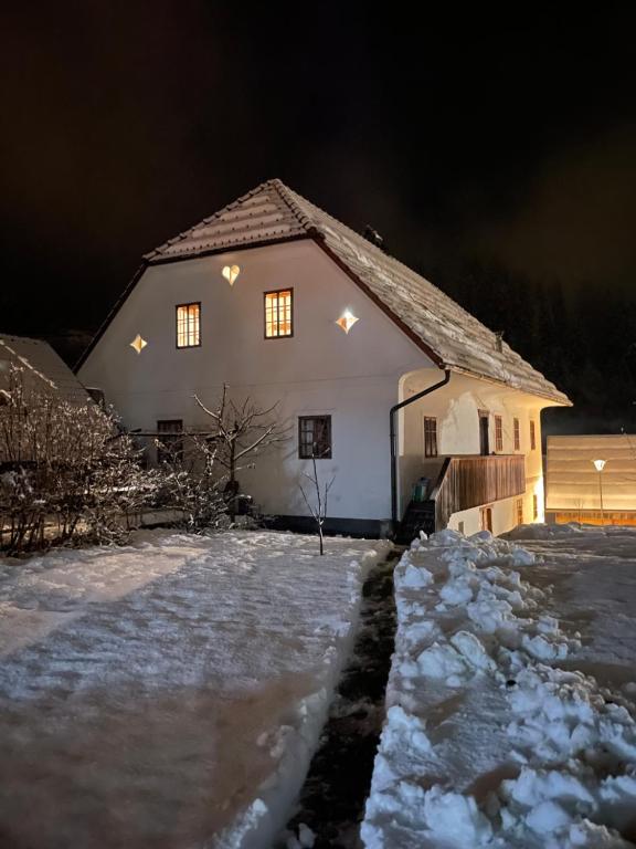 Juvanova Hiša (All House) - Luce, Slovenia