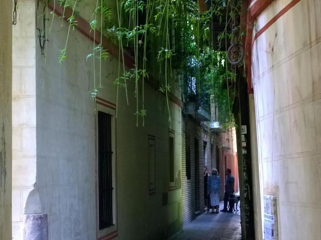 Calle Verde 9 - Sevilla