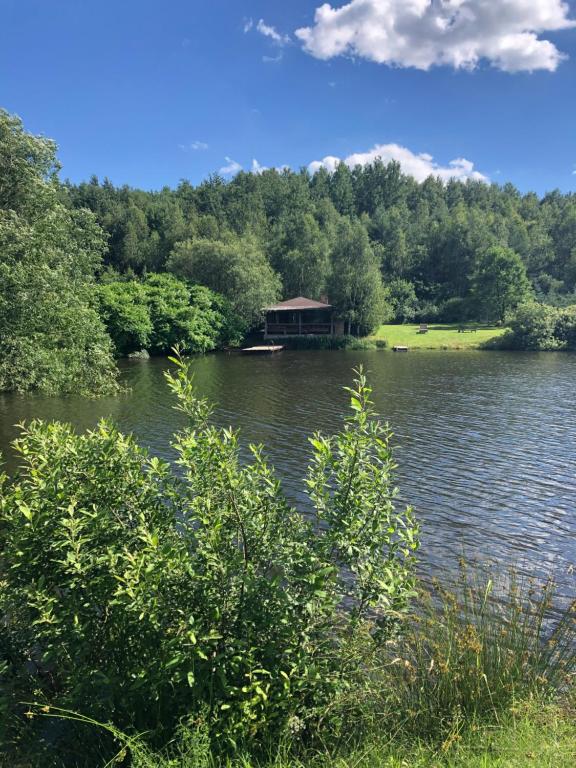 Лісовий будинок з банею на березі озера , рибалка - Lviv