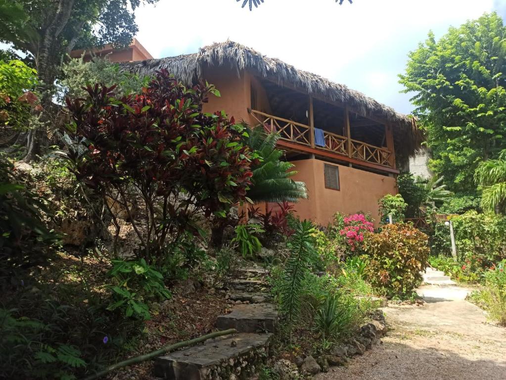 La Casa Del Arbol - Repubblica Dominicana
