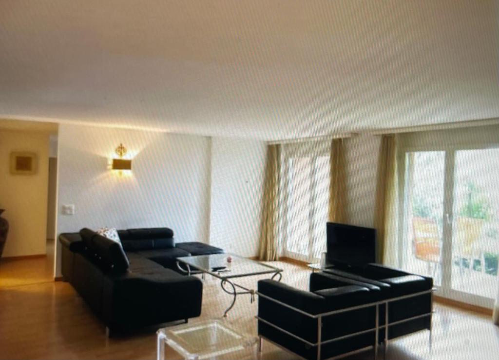 Centrally Located, Spacious Modern Apartment - Kanton Zürich