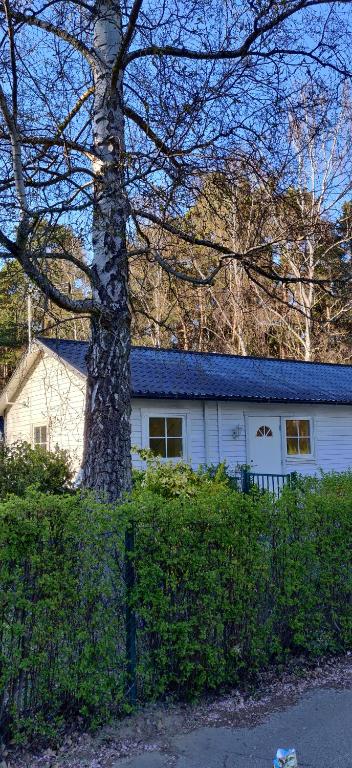Cosy cabin in Skåne - Löddeköpinge
