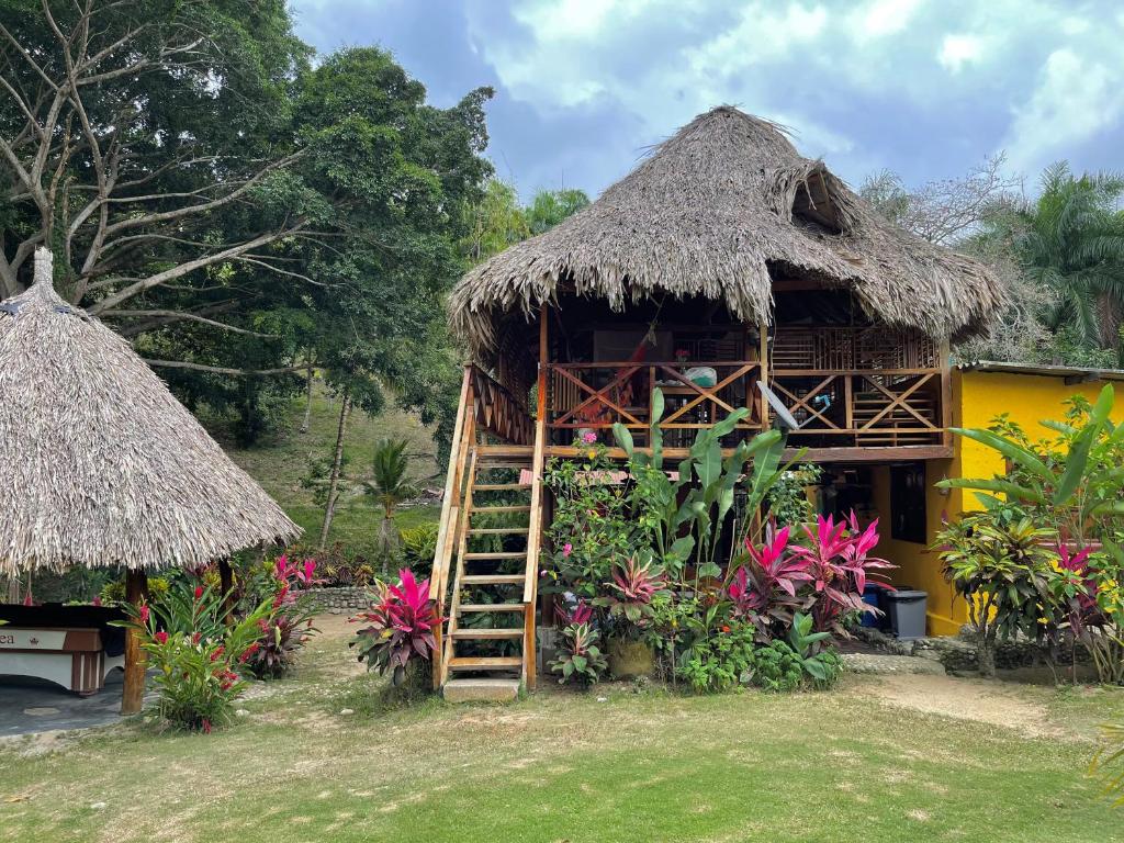 EcoHostal Palmares Del Rio - Caribe