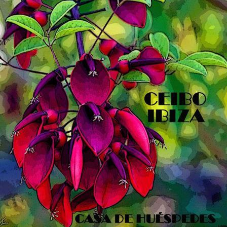 Ceibo Ibiza - Guest House - Talamanca