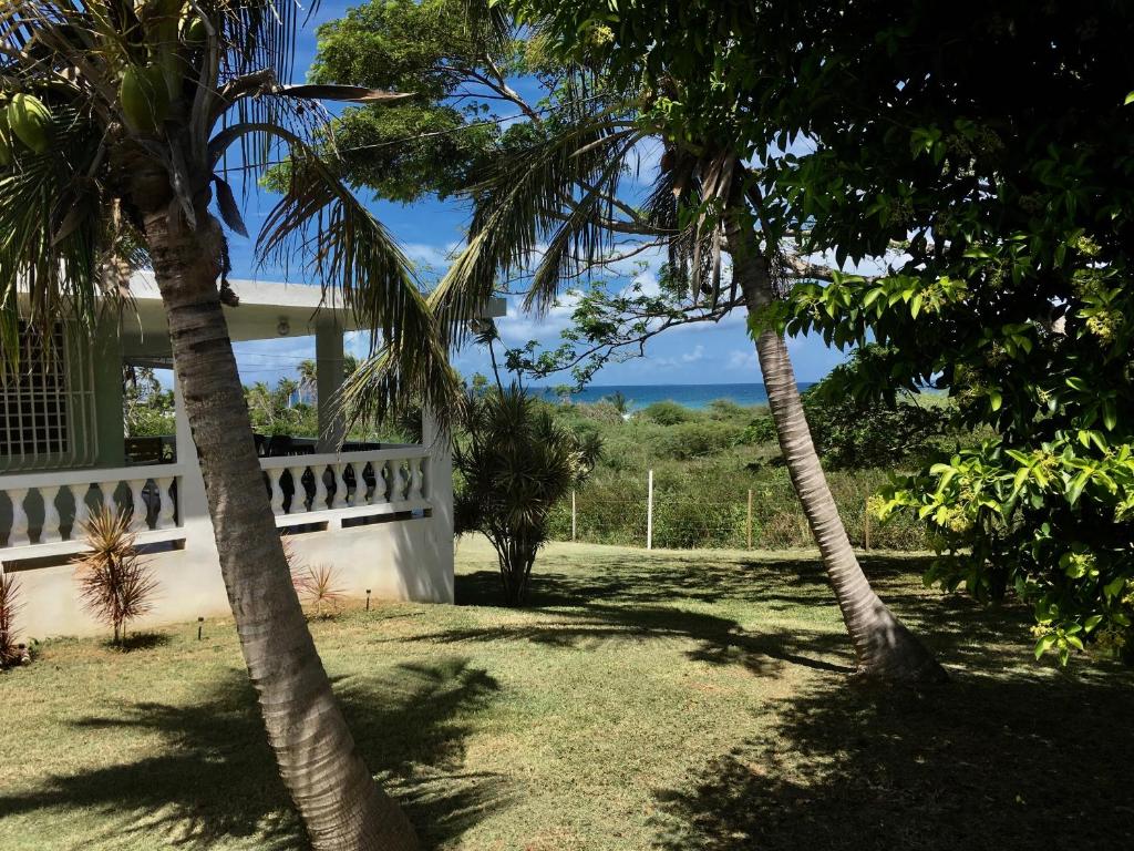 Tranquility By The Sea - Vieques