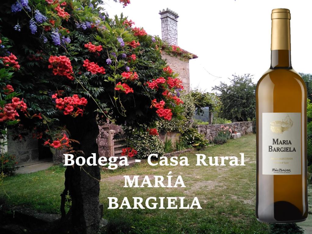 Casa Rural Maria Bargiela - Bela