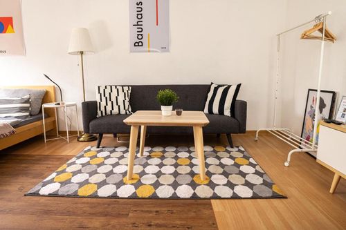 Dessau Apartments and Condos For Rent cozycozy