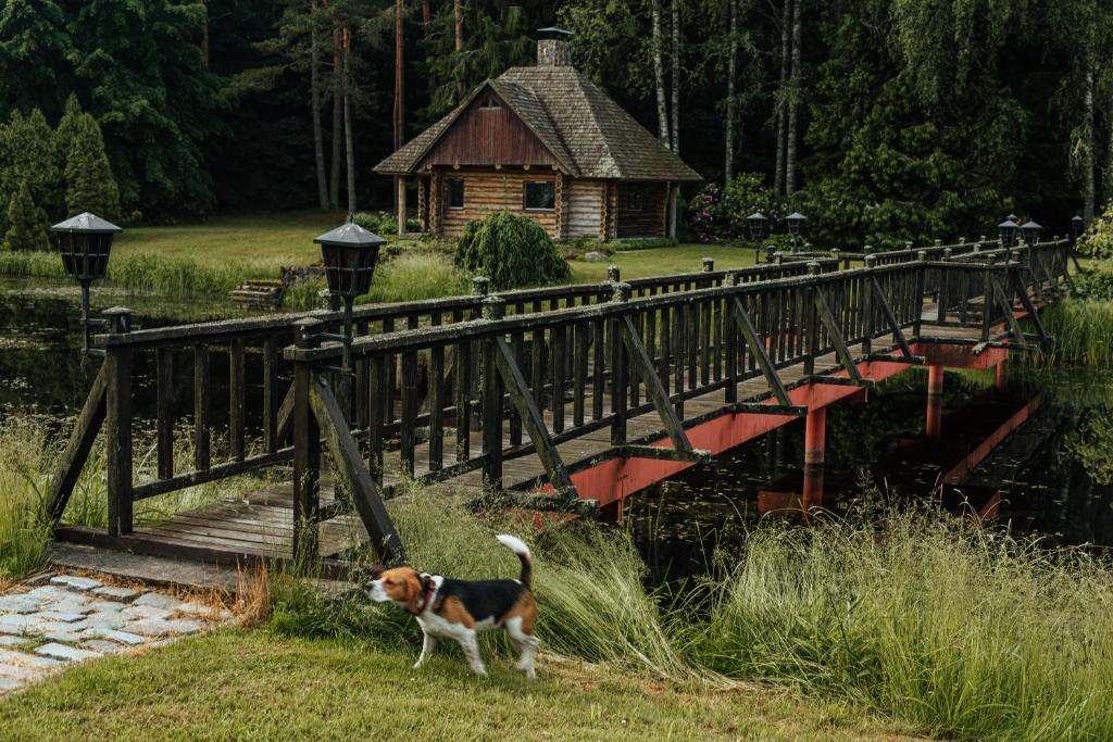 Log Cabin - Lettonia