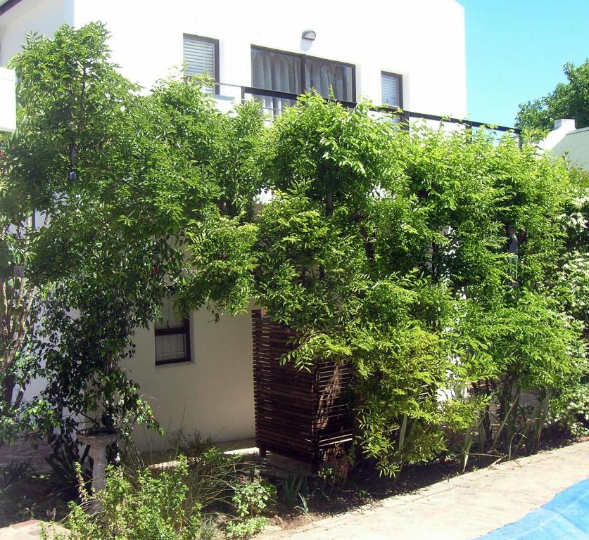16 Rhodes-north Self Catering Apartment & Studio - Stellenbosch