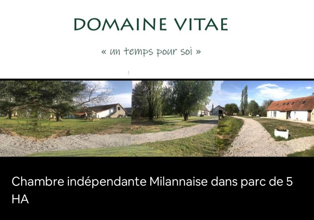 Domaine Vitae - Saint-Pourçain-sur-Sioule