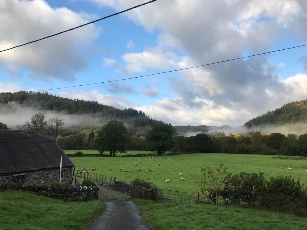 Tyddyn Bach Barn - Snowdonia