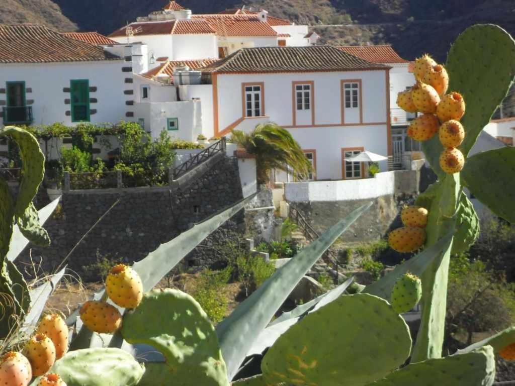Casa Rural Las Cascaras Tejeda Gran Canaria - Tejeda