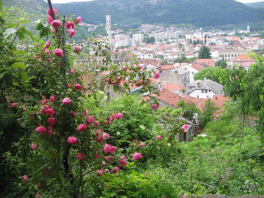 Guesthouse Panorama - Bosznia-Hercegovina