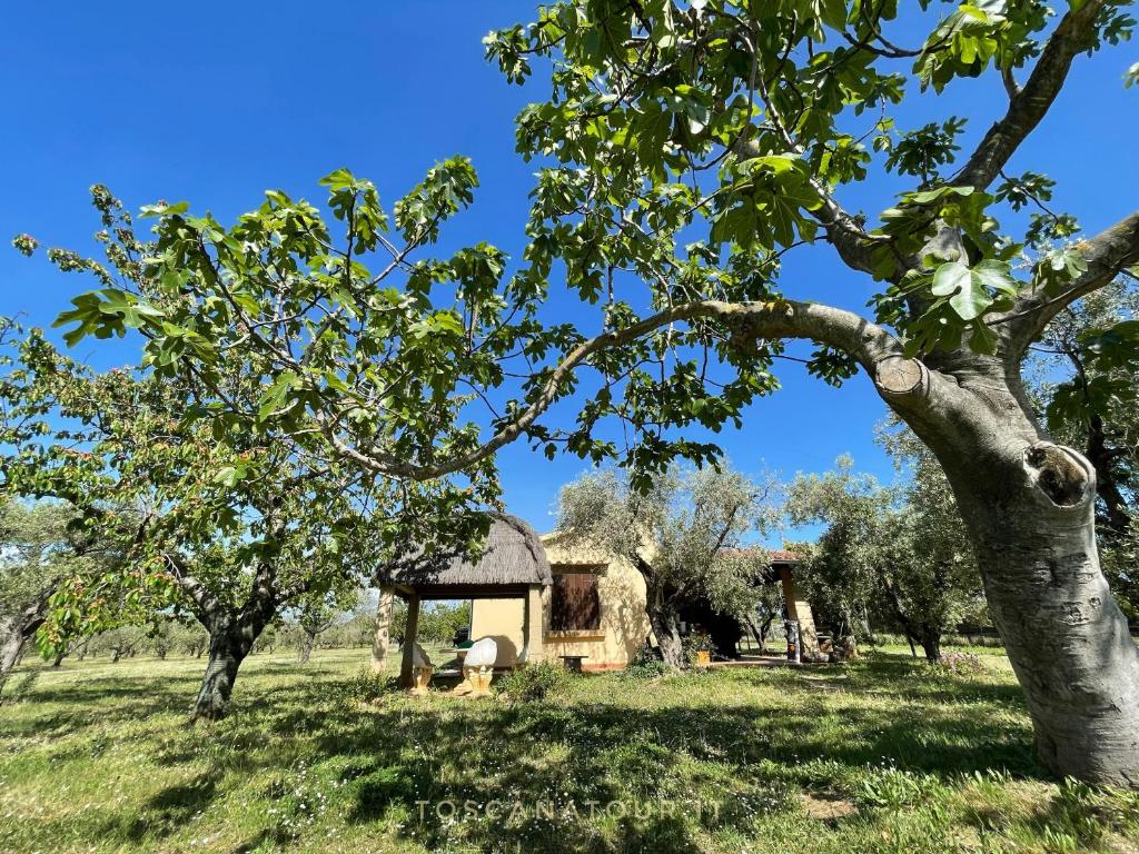 Toscana Tour - Cottage I Ciliegi With Aircon, Fenced Garden - Cecina