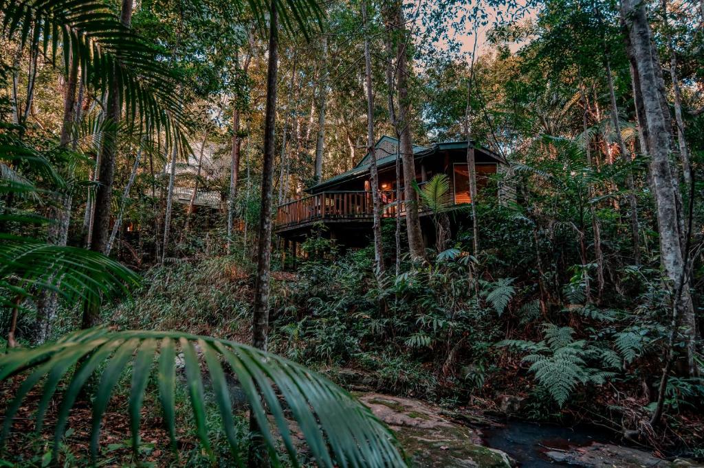 Luxury Rainforest Escape In The Hinterland - Maleny