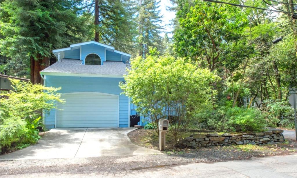 Blue Cherry! Redwoods! Bbq Grill! Fire Table! Ping Pong! Fast Wifi!! Dog Friendly! - Occidental, CA