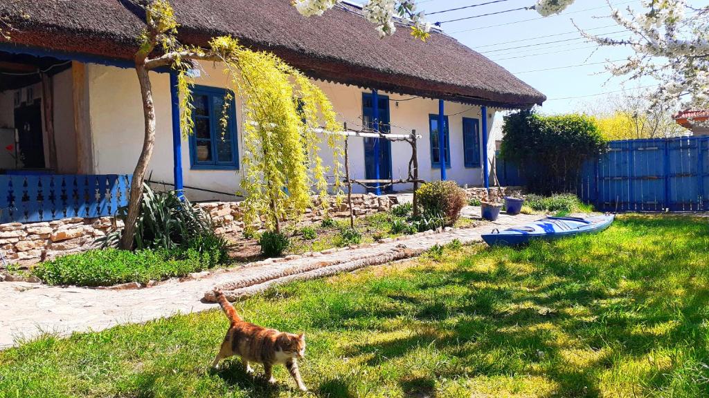 Traditional House in Danube Delta - Rumanía