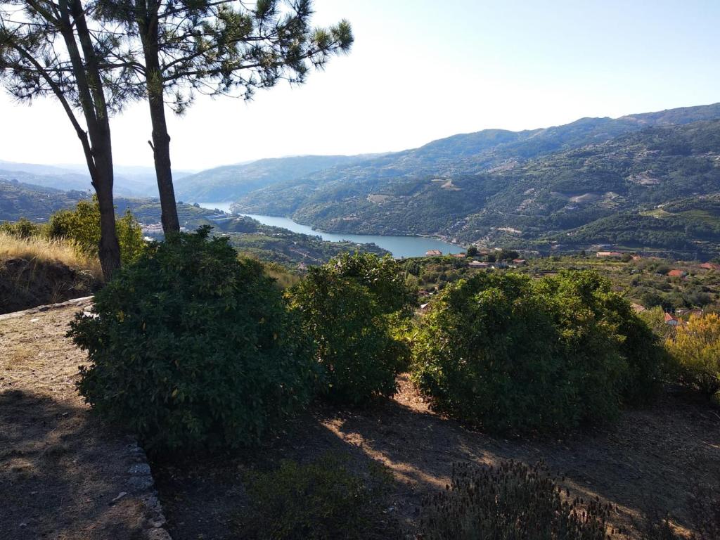Paraíso Hills - Encostas Do Paraíso: Tranquilidade No Douro - Mesão Frio