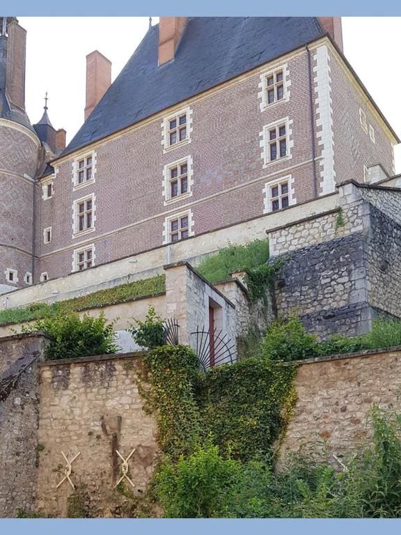 Charmant Appartement Au Pied Du Château - Département Loiret