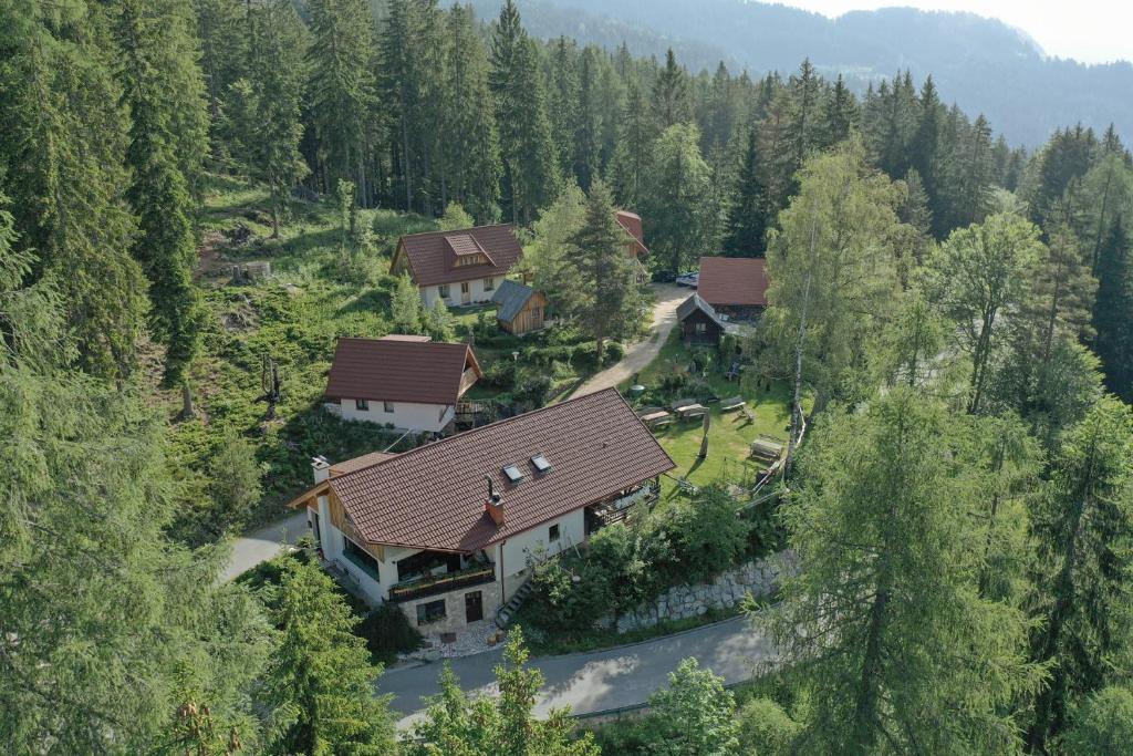 Guesthouse Planinski Dom Majerhold - スロベニア