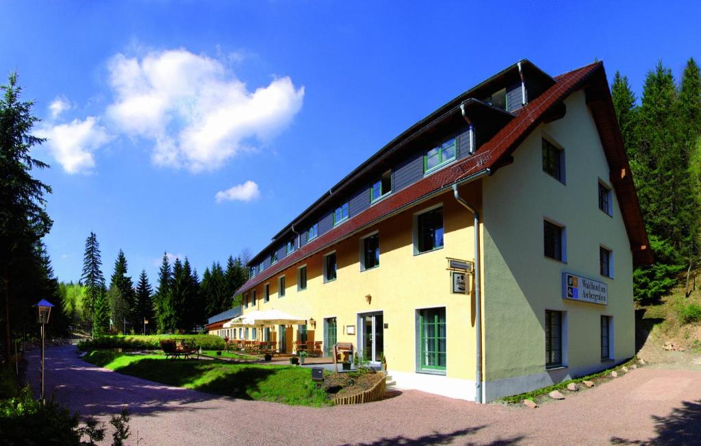 Waldhotel Am Aschergraben - Schellerhau