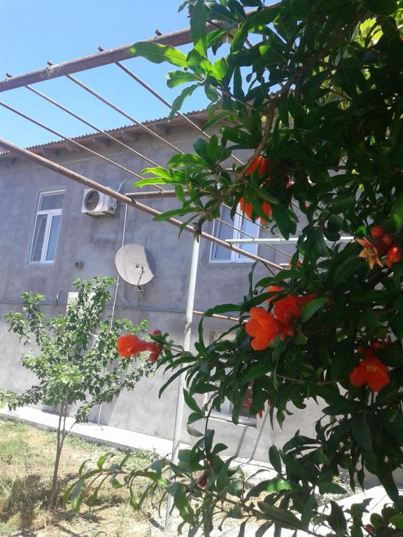 Rental house in village Bine - Azerbaijan