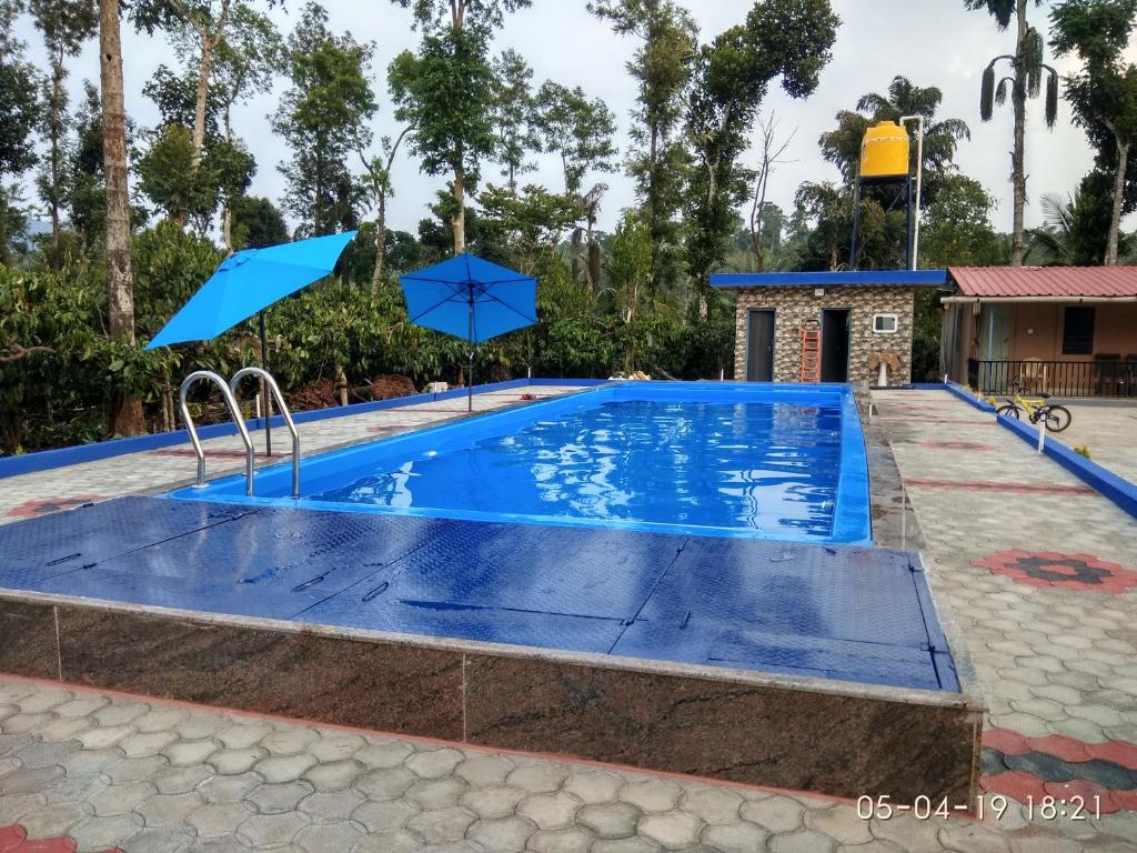 Giri Darshini Homestay - Simple Rooms With Pool & Private Falls - 카르나타카