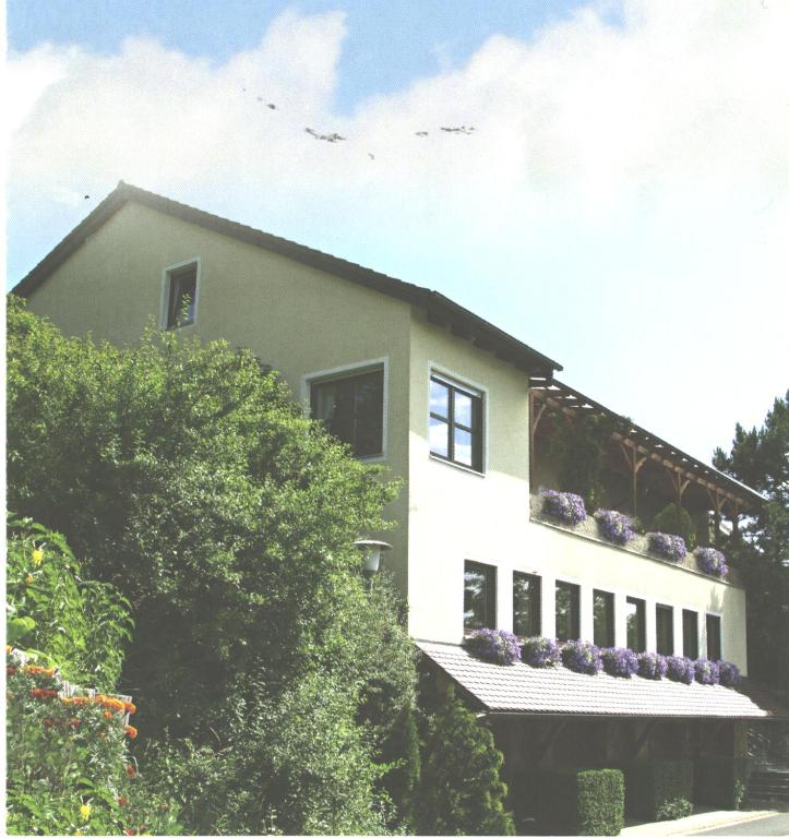 Landgasthaus Zum Erlengrund Hotel Garni - Langenzenn