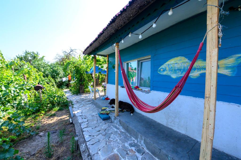 Danube Delta Hostel Homestay & Camping - Romania