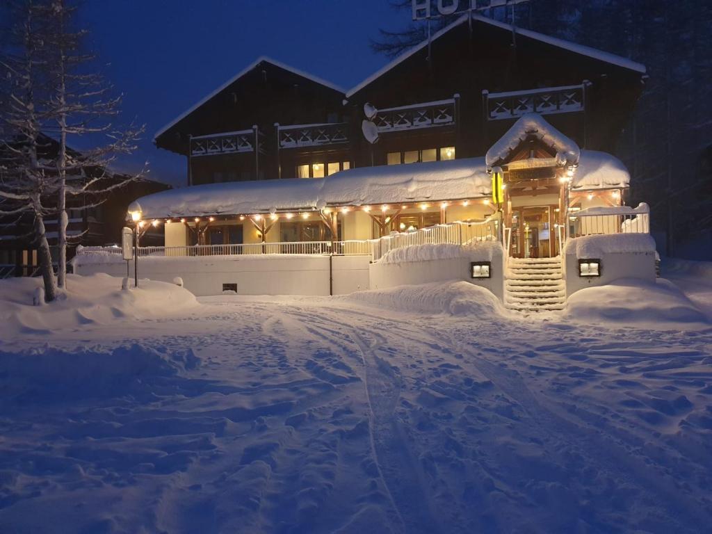 Hotel Alpenhof - Švica