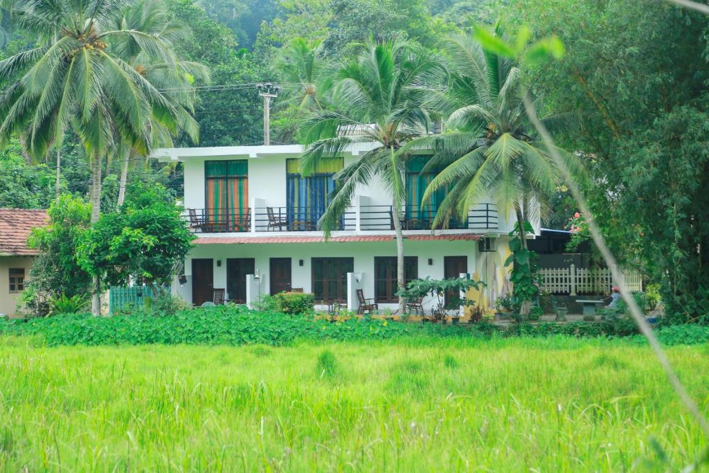 Paddy Field View Upper Deluxe Room - Mirissa