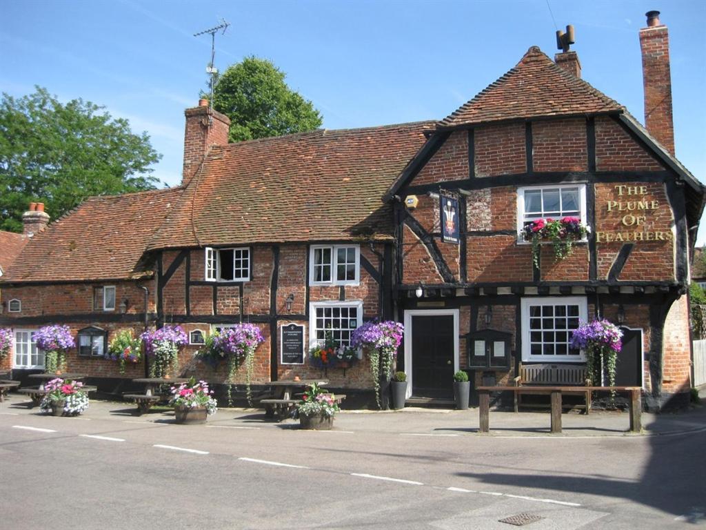 The Plume Of Feathers - Farnham