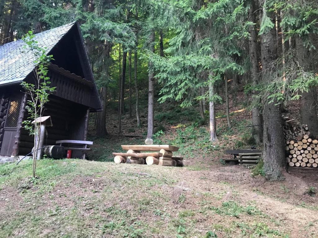 A Quiet Cabin In The Woods - Cerkno