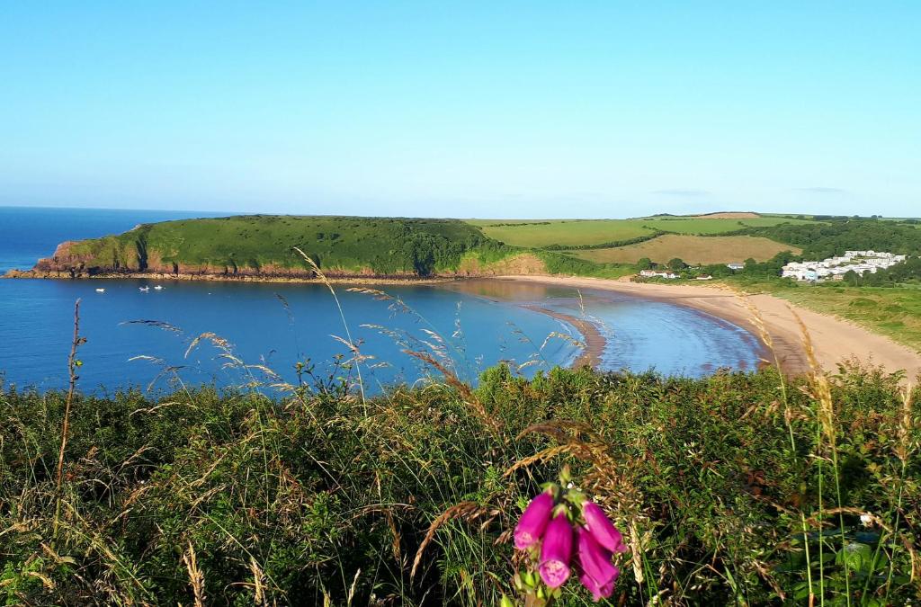 A Beach Holiday in Pembrokeshire - Barafundle Bay