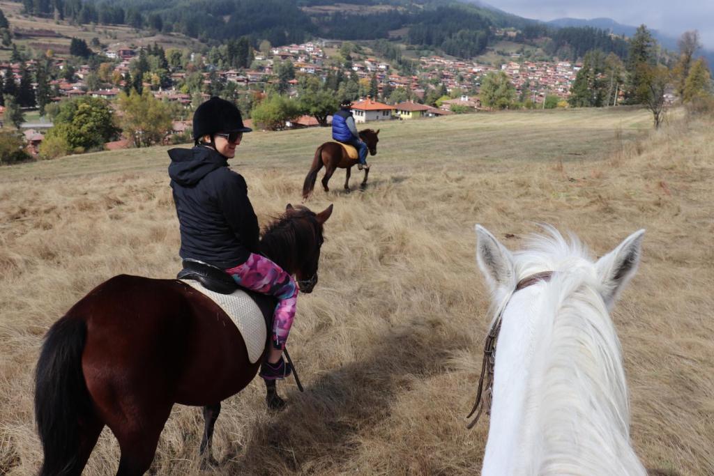 Dona Guest House - Horse Riding - Gül Vadisi