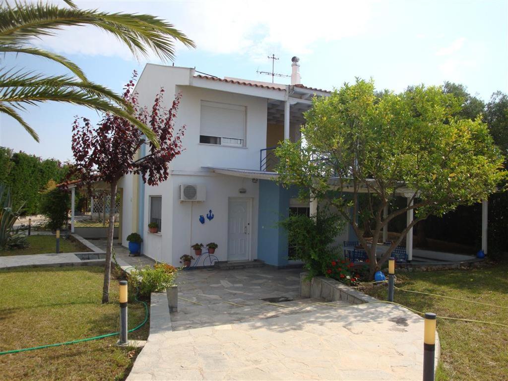Wonderful House With Private Garden - Chalkidike