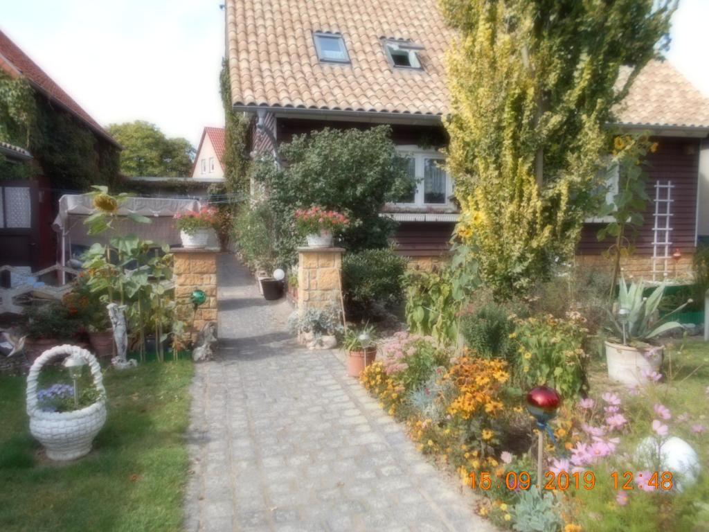 Vermiete Sehr Schönes Apartment In Dankerode Im Harz - Sangerhausen