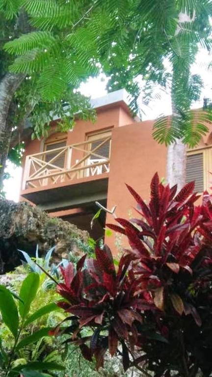 3 Bedrooms House At Las Galeras 200 M Away From The Beach With Sea View Enclosed Garden And Wifi - 카리브 제도
