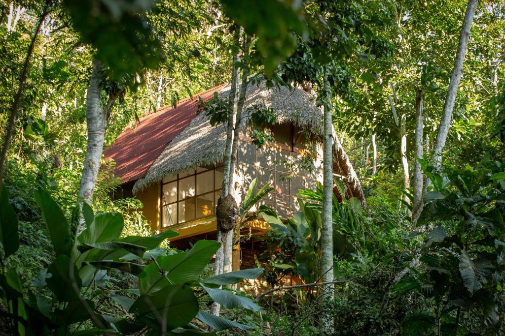 Shimiyacu Amazon Lodge - San Martín