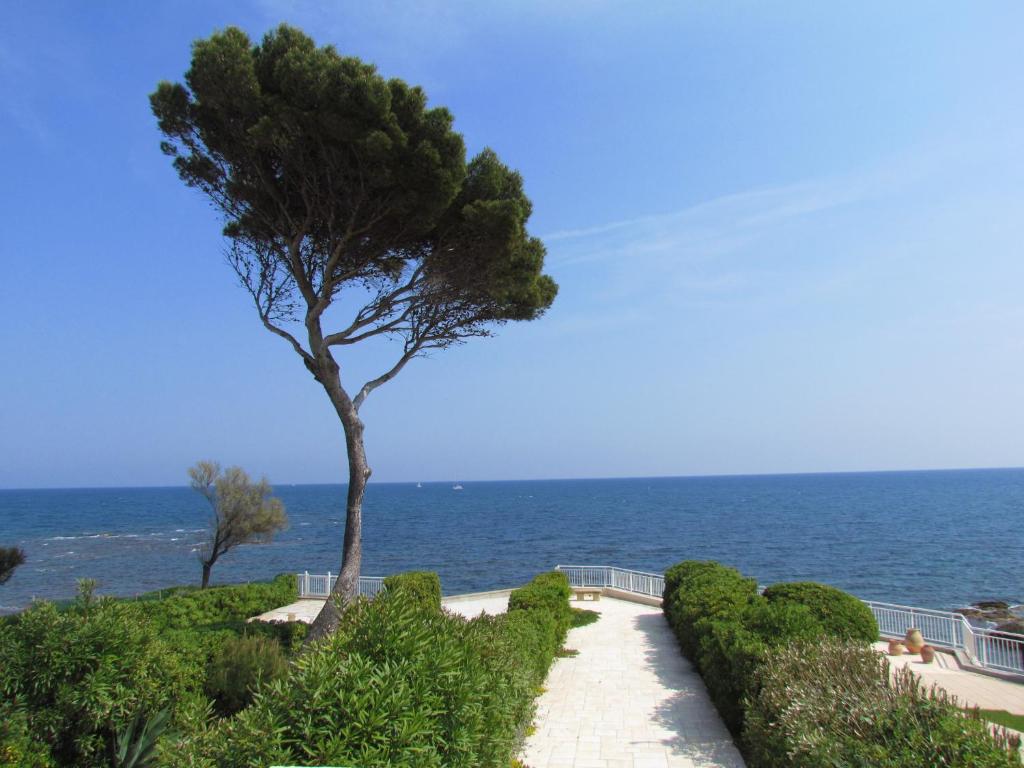 Villa Pieds Dans L'eau - Côte d'Azur